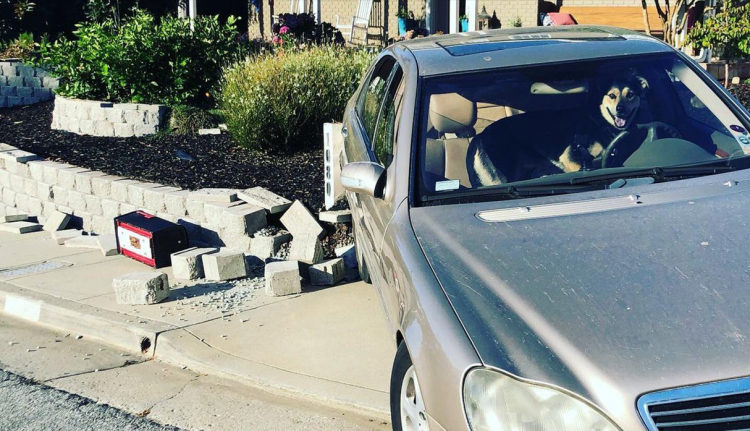 Twitter de Katie Nielsen ( KatieKPIX) Twitter de Katie Nielsen ( KatieKPIX)