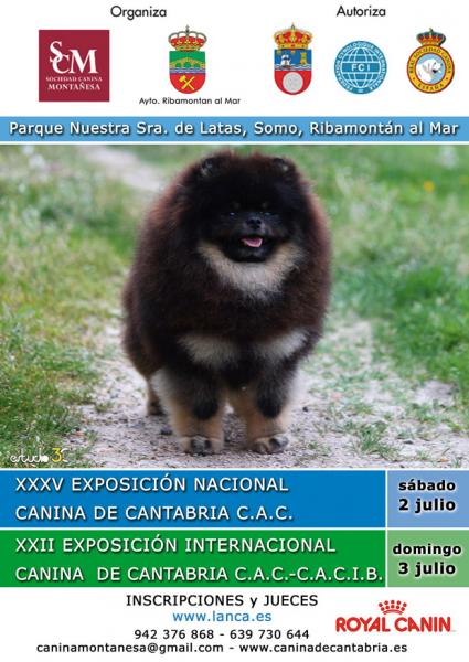 Belleza. XXII EXPOSICIÓN INTERNACIONAL CANINA (CAC   CACIB) (Cantabria   España)