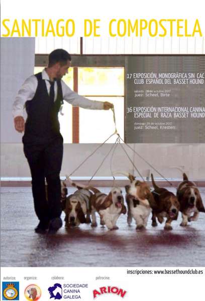 CLUB ESPAÑOL DEL BASSET HOUND - Basset Hound. Belleza. XVII Exposición Monográfica sin CAC de Santiago de Compostela (A Coruña   España)