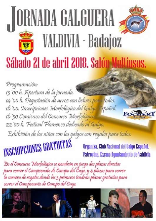 CLUB NACIONAL DEL GALGO ESPAÑOL - Galgo Español. Belleza. JORNADA GALGERA (Badajoz   España)