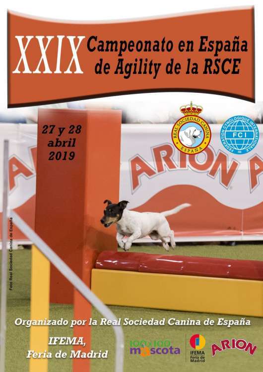 XXIX CAMPEONATO DE ESPAÑA DE AGILITY