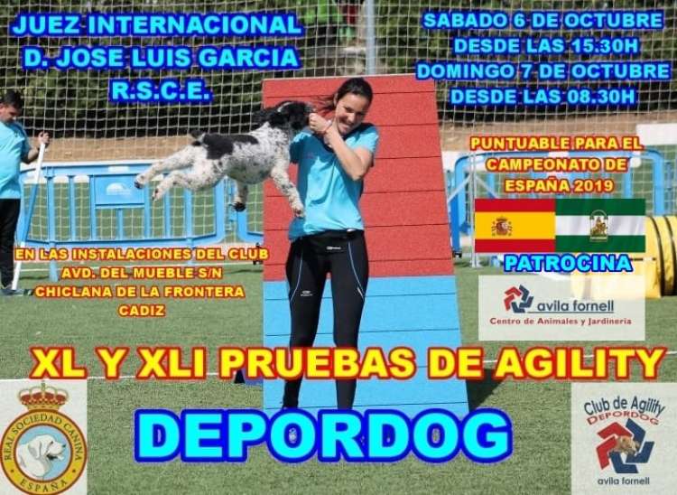 Agility. Prueba de Agility (Cádiz   España)