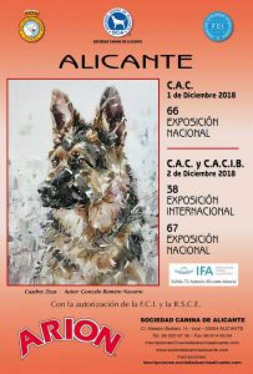 Sociedad Canina de Alicante - Belleza. 58 EXPOSICIÓN INTERNACIONAL CANINA Y 67 EXPOSICIÓN NACIONAL CANINA (Alacant   España)
