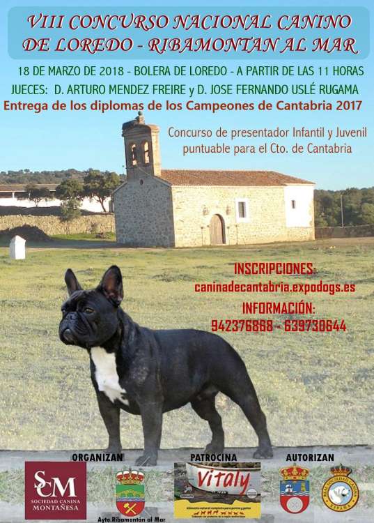 Sociedad Canina Montañesa - Belleza. VIII CONCURSO NACIONAL CANINO DE LOREDO (Cantabria   España)