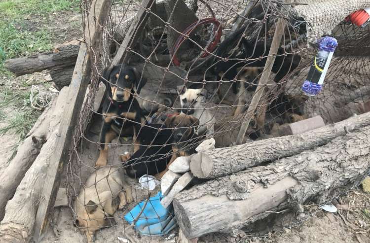 Créditos  Oficina del Alguacil del Condado de Bexar.