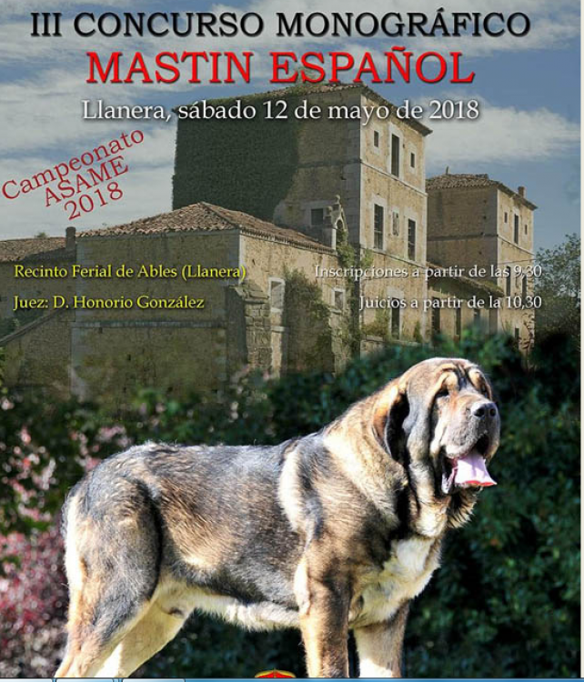 III Concurso Monográfico Mastín Español de Llanera (ASAME)