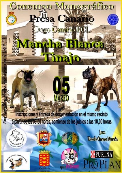 CLUB ESPAÑOL DEL DOGO CANARIO - Belleza. CONCURSO MONOGRÁFICO DEL DOGO CANARIO (Las Palmas   España)