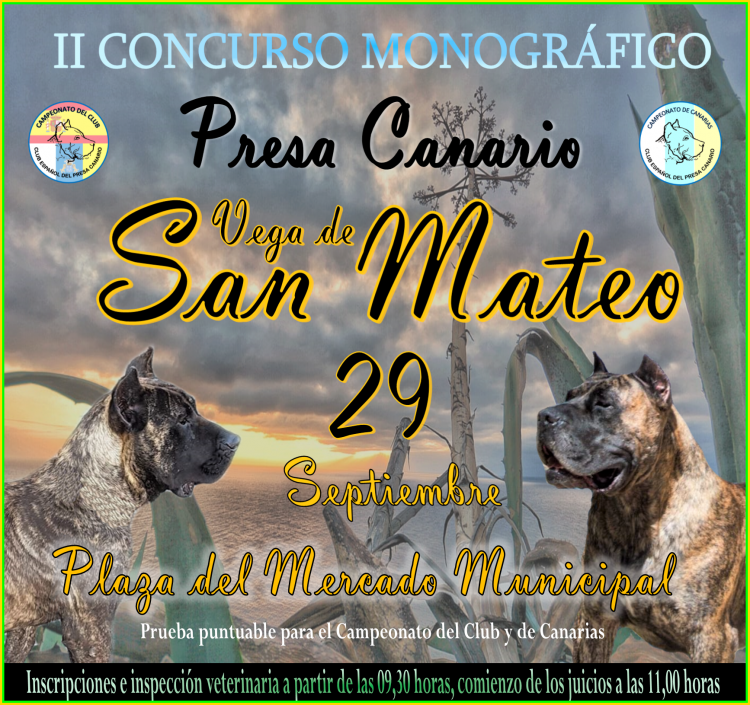 Belleza. II CONCURSO MONOGRÁFICO DEL DOGO CANARIO (Las Palmas   España)