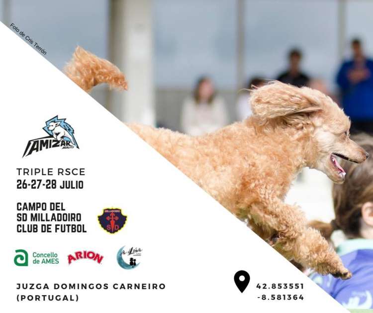 Agility. Prueba Triple de Agility Verano 2019 (A Coruña   España)
