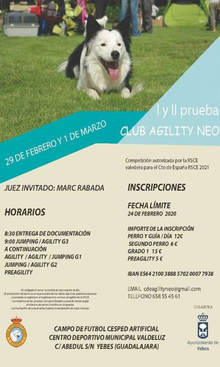 Agility. I y II Prueba del Club Agility Neo (Madrid   España)
