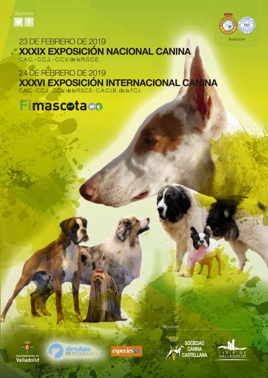 PETSmania - EXPOSICIÓN CANINA NACIONAL (CAC)   11ª EDICIÓN FIMASCOTA