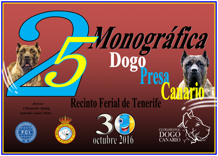 CLUB ESPAÑOL DEL DOGO CANARIO - Dogo Canario. Belleza. 25 MONOGRÁFICA DOGO PRESA CANARIO (Santa Cruz de Tenerife   España)