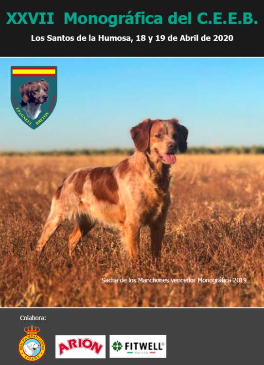 CLUB ESPAÑOL DEL EPAGNEUL BRETÓN - Spaniel Bretón. Belleza. XXVII Monográfica del Club Español del Epagneul Breton (Madrid   España)