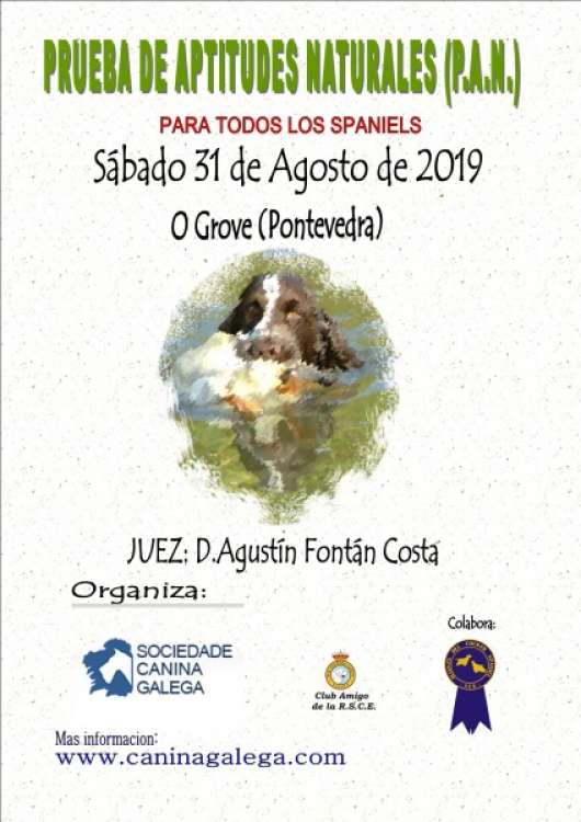 Otros. PRUEBA DE APTITUDES NATURALES SPANIELS (P.A.N.) (Pontevedra   España)