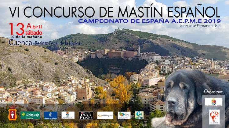 Asociación Española del Perro Mastín Español - Belleza. VI CONCURSO DEL MASTÍN ESPAÑOL (Cuenca   España)