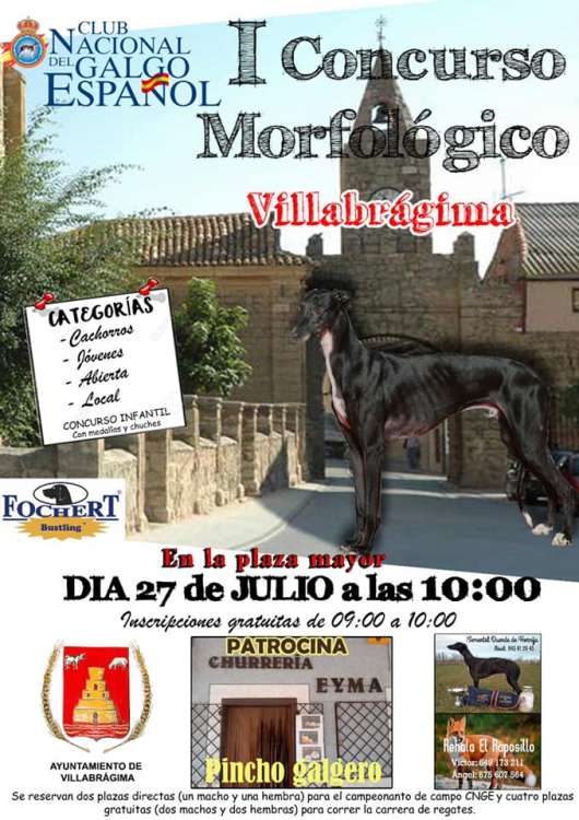 PETSmania - Galgo Español.