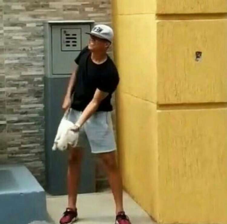 Imagen de futbolista maltratando al gato (Foto  AbreuReport)