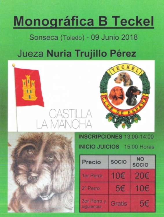 TECKEL CLUB DE ESPAÑA - Belleza. Monografica B del TECKEL  (Toledo   España)