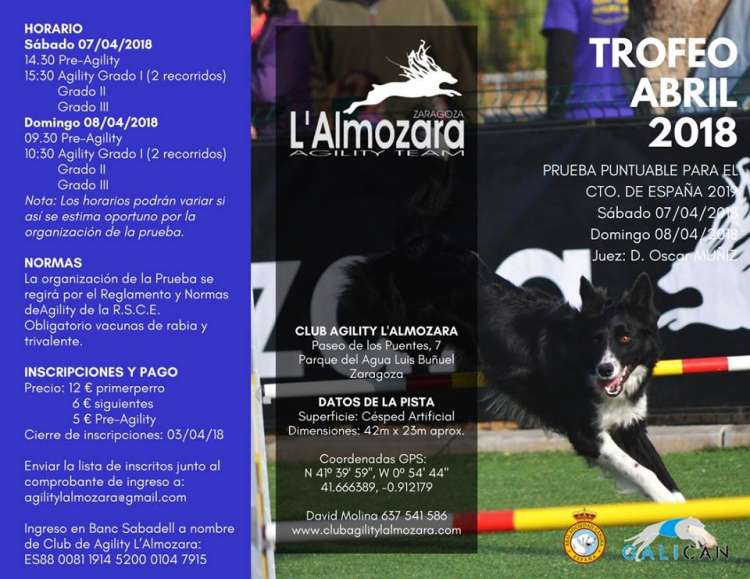 Prueba de Agility