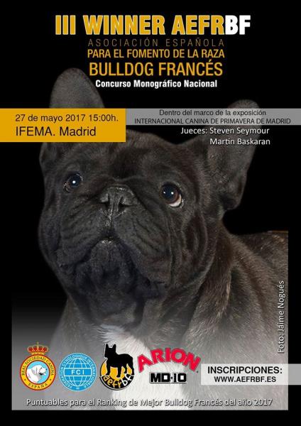 ASOCIACIÓN ESPAÑOLA PARA EL FOMENTO DE LA RAZA BULLDOG FRANCÉS - Bulldog Francés. Belleza. III WINNER AEFRBF 2017 (Madrid   España)