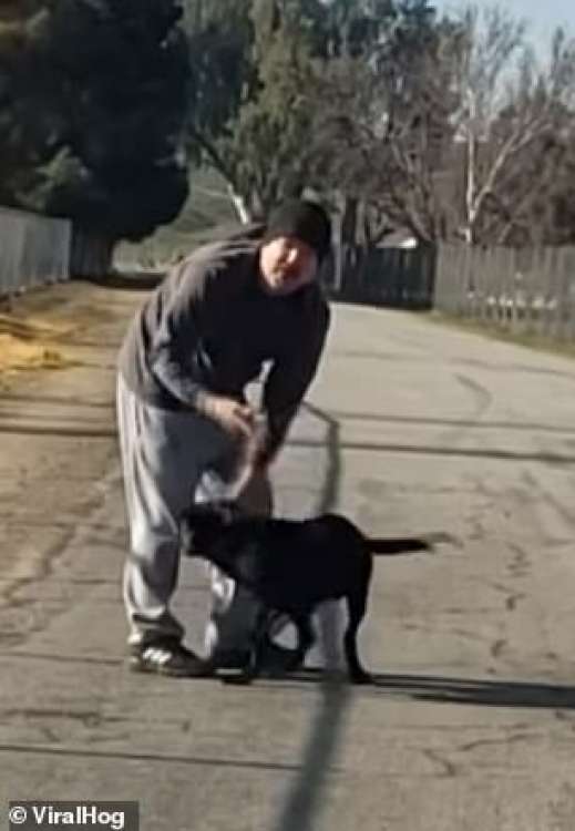 Hombre es grabado cuando abandona a su perro (Foto  Facebook)