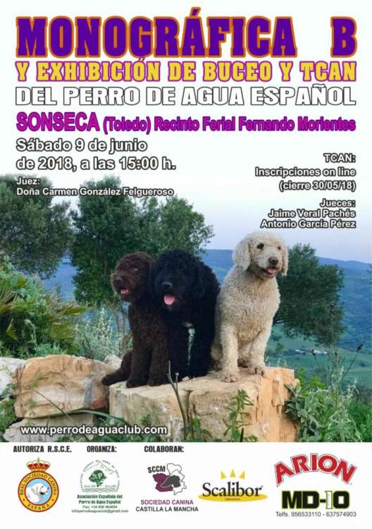 ASOCIACIÓN ESPAÑOLA DEL PERRO DE AGUA ESPAÑOL - Belleza. MONOGRÁFICA B DEL PERRO DE AGUA ESPAÑOL (Toledo   España)