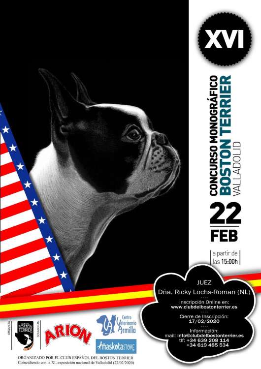 Club Español del Boston Terrier - Belleza. XVI CONCURSO MONOGRÁFICO DEL BOSTON TERRIER (Valladolid   España)