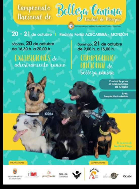 Sociedad Canina de Aragón - Belleza. CAMPEONATO NACIONAL DE BELLEZA CANINA (Huesca   España)
