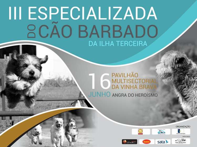 Associação Açoreana dos Criadores dos Cães Barbados da Ilha Terceira - Belleza. 3.ª E. C. Especializada da A.A.C. Barbado da Terceira (CAC) (Madeira   Portugal)