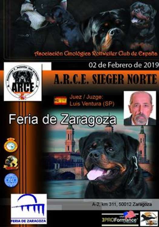 Asociación Cinológica Rottweiler Club de España - ARCE - Belleza. A.R.C.E SIEGER NORTE   rottweiler (Zaragoza   España)