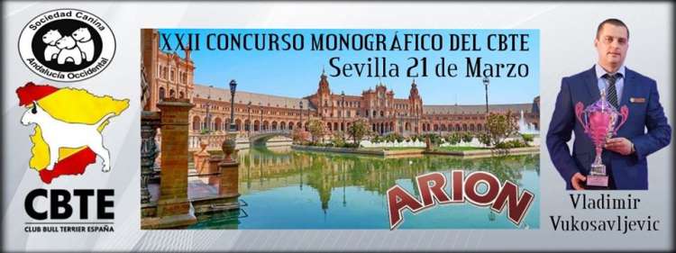 Bull Terrier. Belleza. XXIII CONCURSO MONOGRÁFICO DEL CBTE (Sevilla   España)