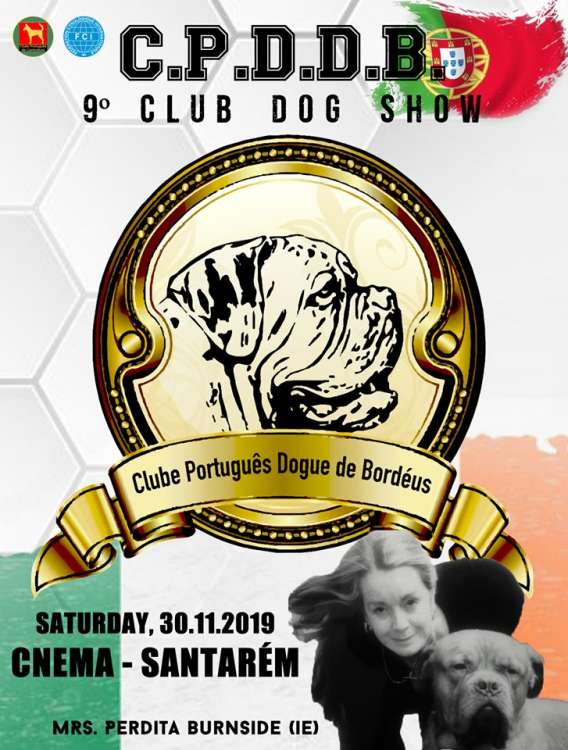 Dogo de Burdeos. Belleza. 9.ª E. C. Monográfica do C.P. Dogue de Bordéus (CAC QC) (Santarem   Portugal)