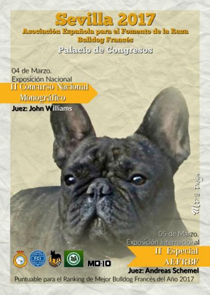 Bulldog Francés. Belleza. II CONCURSO NACIONAL MONOGRÁFICO   II ESPECIAL AEFRBF SEVILLA´17 (Sevilla   España)
