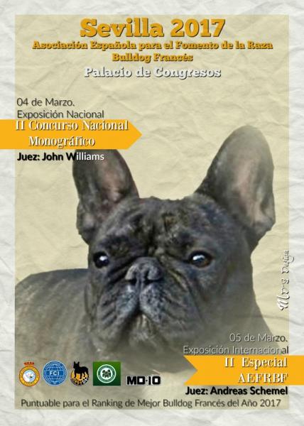 ASOCIACIÓN ESPAÑOLA PARA EL FOMENTO DE LA RAZA BULLDOG FRANCÉS - Bulldog Francés. Belleza. II CONCURSO NACIONAL MONOGRÁFICO   II ESPECIAL AEFRBF SEVILLA´17 (Sevilla   España)