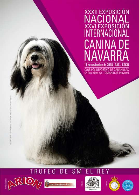 XXXII EXPOSICIÓN NACIONAL Y XXVI EXPOSICIÓN INTERNACIONAL CANINA DE NAVARRA