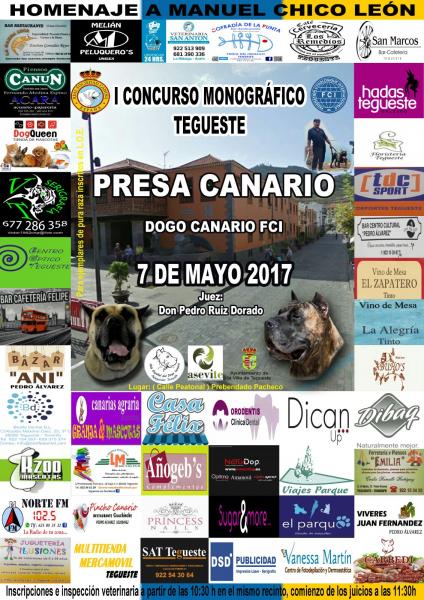 CLUB ESPAÑOL DEL DOGO CANARIO - Dogo Canario. Belleza. 1er. CONCURSO MONOGRÁFICO del PRESA CANARIO (Santa Cruz de Tenerife   España)
