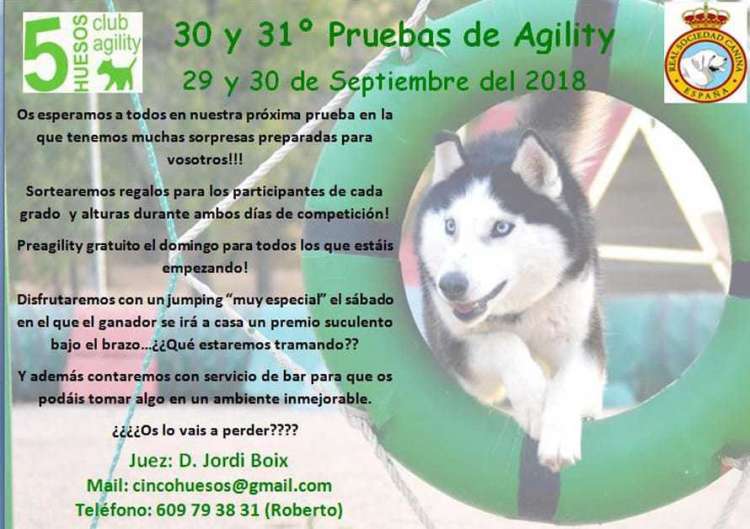 Prueba de Agility