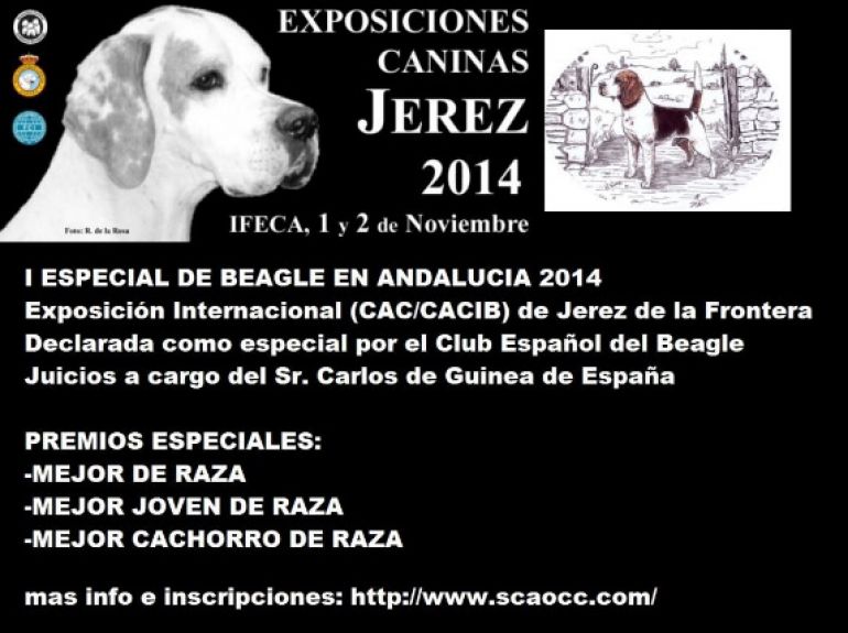 CLUB ESPAÑOL DEL BEAGLE, BEAGLE-HARRIER Y HARRIER - Beagle. I EXPECIAL DE BEAGLE ANDALUCÍA 2014