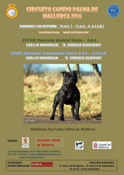 Palma de Mallorca acoge la 38º Exposición Nacional Canina y la 33º Exposición Internacional Canina