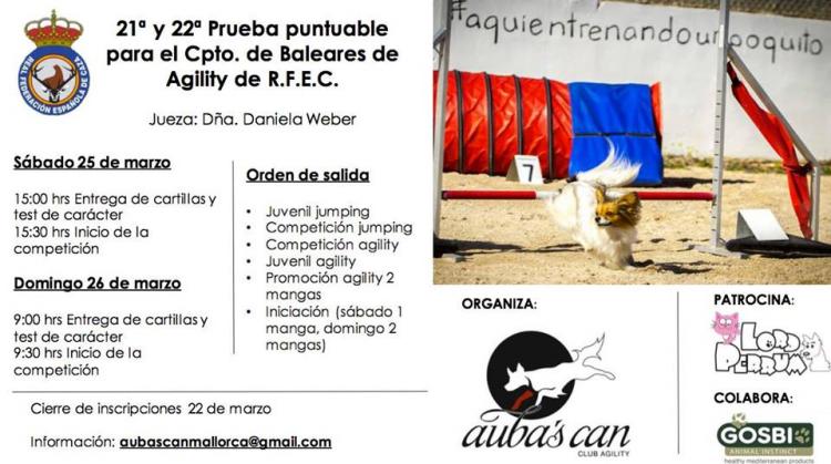 Agility. 21ª y 22ª Prueba puntuable para el Cpto. de Baleare de Agility (Illes Balears   España)