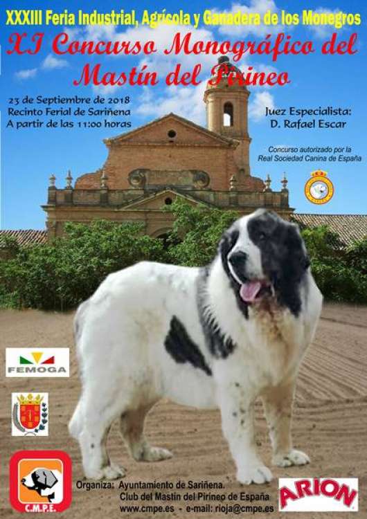 Belleza. XI CONCURSO MONOGRÁFICO DEL MASTÍN DEL PIRINEODE SARIÑENA (Huesca España) Belleza. XI CONCURSO MONOGRÁFICO DEL MASTÍN DEL PIRINEODE SARIÑENA (Huesca España)