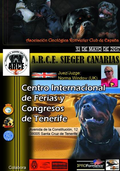 Asociación Cinológica Rottweiler Club de España - ARCE - Rottweiler. Belleza. A.R.C.E. SIEGER CANARIAS (Santa Cruz de Tenerife   España)