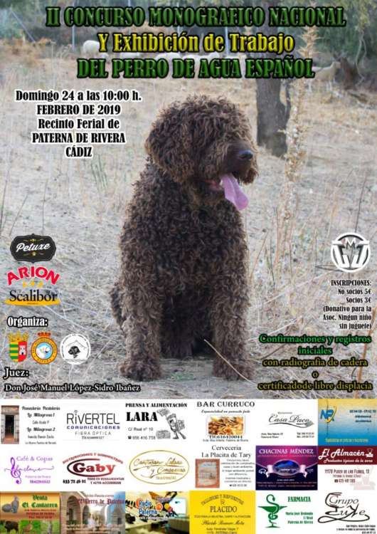 ASOCIACIÓN ESPAÑOLA DEL PERRO DE AGUA ESPAÑOL - Belleza. MONOGRÁFICA B Y EXHIBICIÓN DE TRABAJO DEL PERRO DE AGUA ESPAÑOL (Cádiz   España)