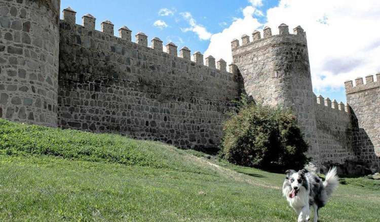 Tribuna de Ávila Tribuna de Ávila