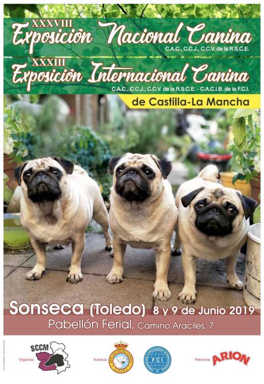 Sociedad Canina de Castilla la Mancha - Belleza. EXPOSICIÓN CANINA NACIONAL (CAC) (Toledo   España)