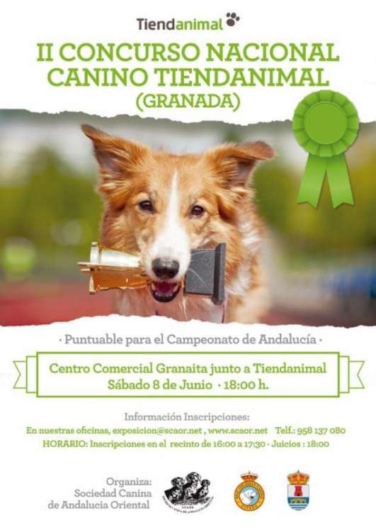 Sociedad Canina de Andalucía Oriental - Belleza. Concurso Nacional Tiendanimal (Granada   España)