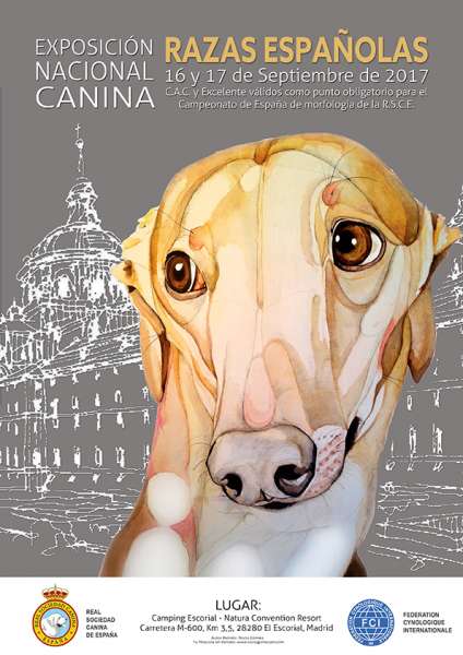 Belleza. EXPOSICIÓN NACIONAL CANINA DE RAZAS ESPAÑOLAS (Madrid   España)