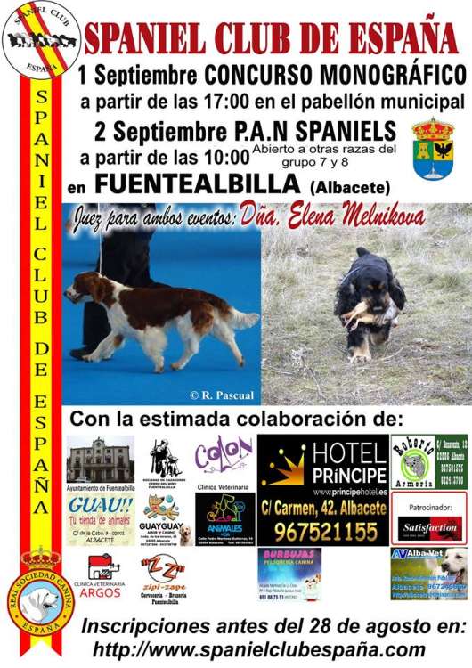 Belleza. PAN Y CONCURSO MONOGRÁFICO DEL SPANIEL CLUB DE ESPAÑA  (Albacete   España)