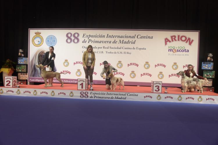 Macarena Rueda  ganadora del Concurso de Presentadores Juveniles