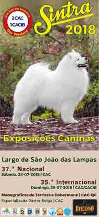 37.ª Exposição Canina Nacional Sintra